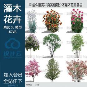 DB00623 SU组件Sketchup草图大师景观模型唯美2D真实植物乔木灌...