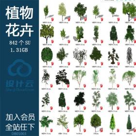 DB01003园林景观植物花草树木乔木花卉灌木SU模型