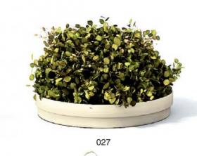 小型装饰植物 3Dmax模型. (27)