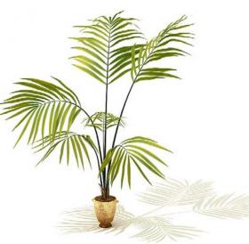 室内盆栽植物3Dmax模型 (2)