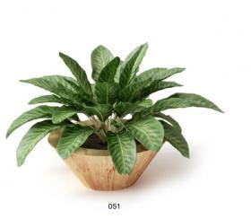 盆栽植物3Dmax模型 (51)