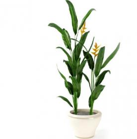 盆栽植物3Dmax模型第二季 (56)