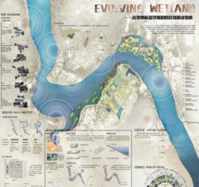 EVOLVING WETLAND——直潭坝前泥沙堆积的景观解决策略