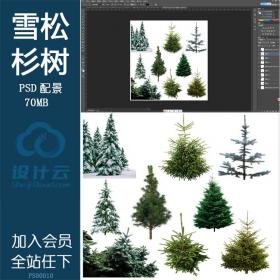 PS00010雪松杉树针叶树psd分层素材可编辑采用ps文件