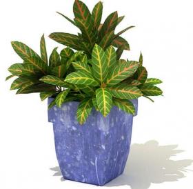 室内盆栽植物3Dmax模型 (45)
