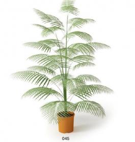 盆栽植物3Dmax模型 (45)