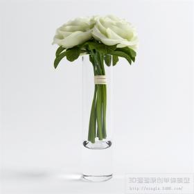 桌面花卉3Dmax模型 (24)