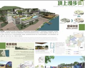 顶上漫步