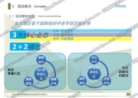 养老地产研究老年公寓社区建筑规划设计养老养生方案文本