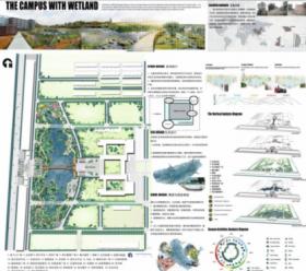 开放校园生态湿地 绿色资源共享