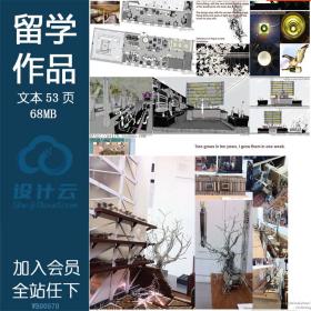 WB00570留学生作品优秀方案文本高清pdf高清展板排版图