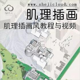 【第174期】肌理插画风教程与视频素材，建议收藏