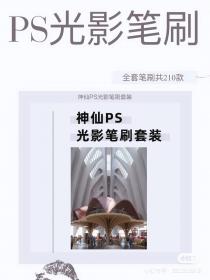 【232】神仙PS光影笔刷套装 神仙PS光影笔刷套装 这个神器...