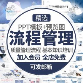 5383企业项目流程管理培训PPT模板护理质量管理会议举报流...