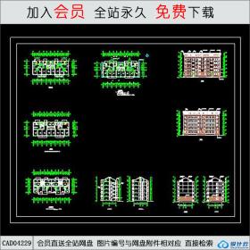 CAD04229 阁楼住宅建筑施工图CAD