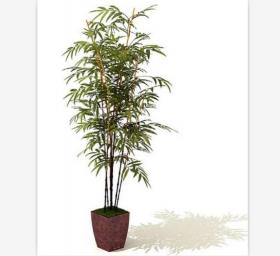 室内盆栽植物3Dmax模型 (11)