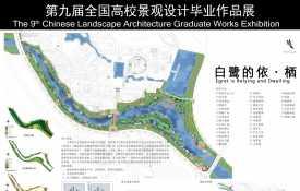 白鹭的依·栖