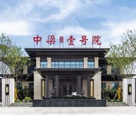 洛阳中梁壹号院