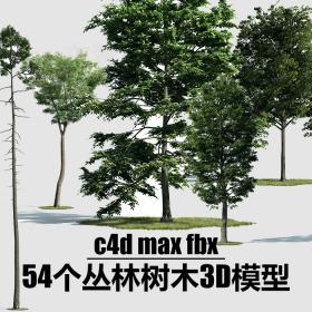 T581 c4d模型 3dmax模型 树木丛林森林植物大树C4D MAX FBX 模型...