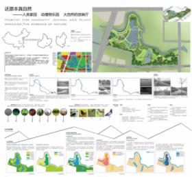 二十埠河湿地生态修复规划概念性设计