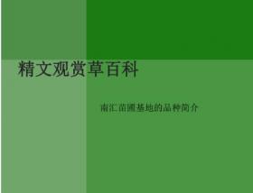 景观植物-精文观赏草百科,观赏草品种介绍