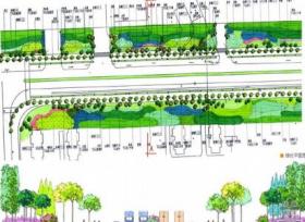 宝山道路绿化设计方案