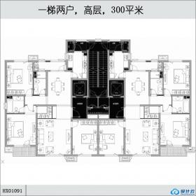 HX01091一梯两户，高层，300平米