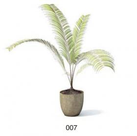 小型装饰植物 3Dmax模型. (7)