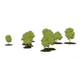 手绘植物 (124)