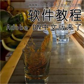 【第126期】Adobe DN中文版来了，秒杀同行