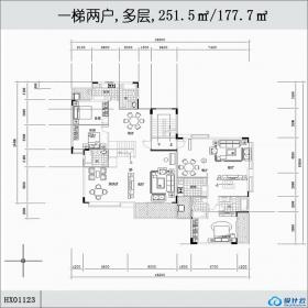 HX01123一梯两户,多层,251.5㎡