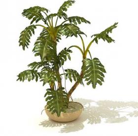 室内盆栽植物3Dmax模型 (18)