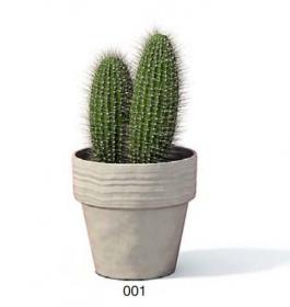 小型装饰植物 3Dmax模型. (1)