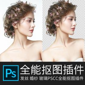 R110-2019年PS全套抠图教程视频photoshop入门/初级/高级教程...