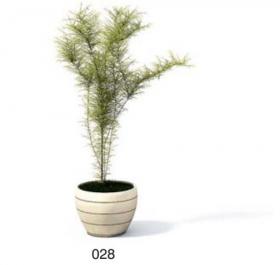 小型装饰植物 3Dmax模型. (28)