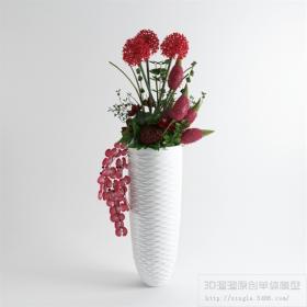 落地花卉3Dmax模型 (5)