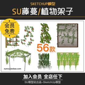 T851爬墙植物藤蔓架子绿墙花园装饰架绿篱藤架藤条SU模型...