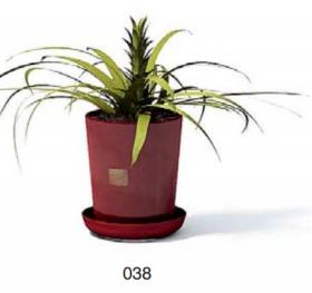 小型装饰植物 3Dmax模型. (38)