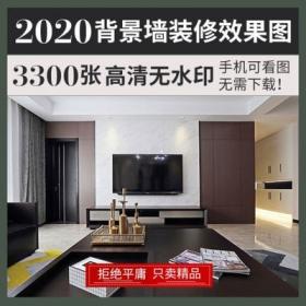 0093电视背景墙2021室内家装修设计样板间客厅参考效果实景图