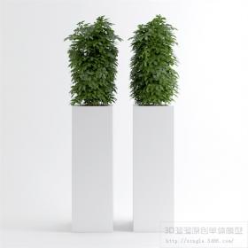 办公酒店植物3Dmax模型 (22)