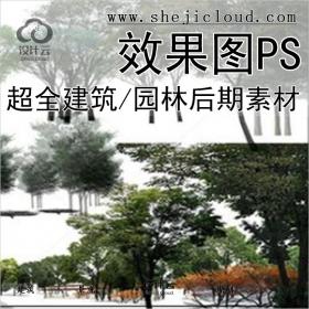 【0192】超全建筑/园林后期效果图PS素材分类整理合集植物