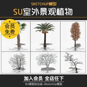 T941景观室外植物sketchup乔木松树柳树热带树荷花园林su模型