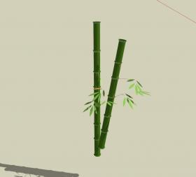 竹类 (12)