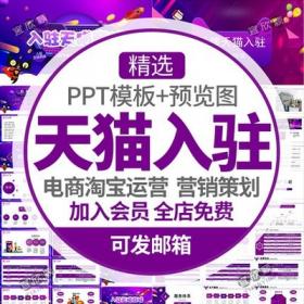 5398品牌营销策划入驻天猫商场方案PPT模板推广网店电商淘...