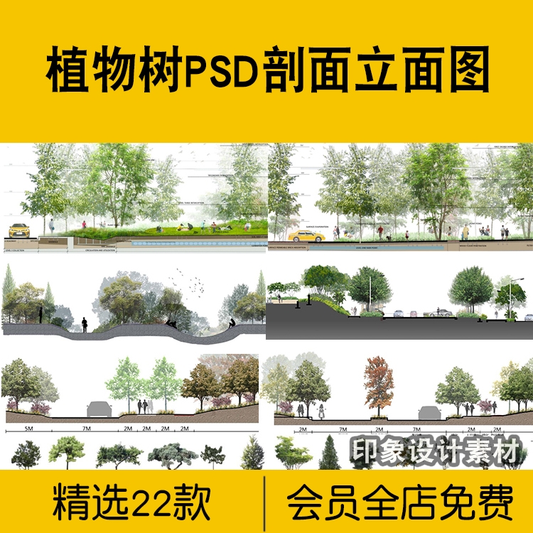 植物树PSD剖面立面图高清分层源文件小清新绿化乔木灌木海绵城市-1