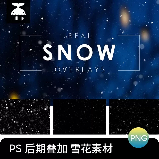 雪花PNG免扣设计素材图片PS后期处理照片叠加雪景下雪效果高清图-1