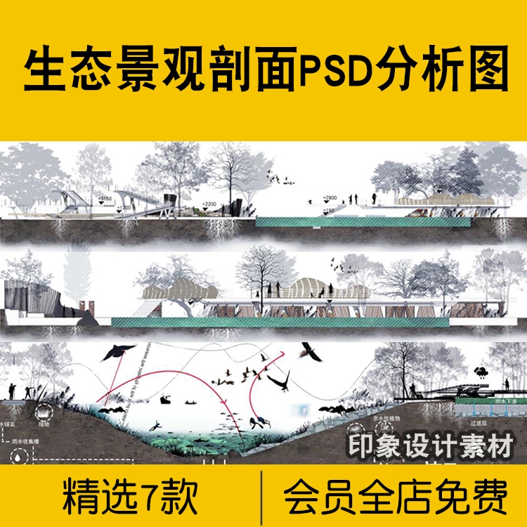 生态景观剖面PSD分析图高清分层源文件小清新滨水湿地公园立面图-1