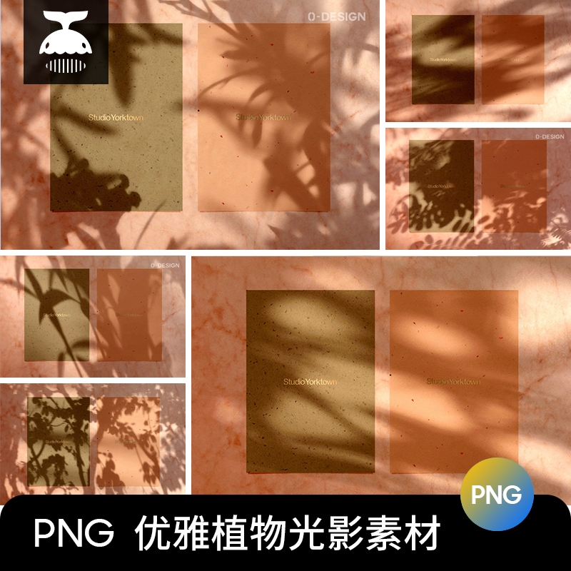优雅高级自然植物光影阴影光斑效果PNG背景图片PS后期叠加素材图-1