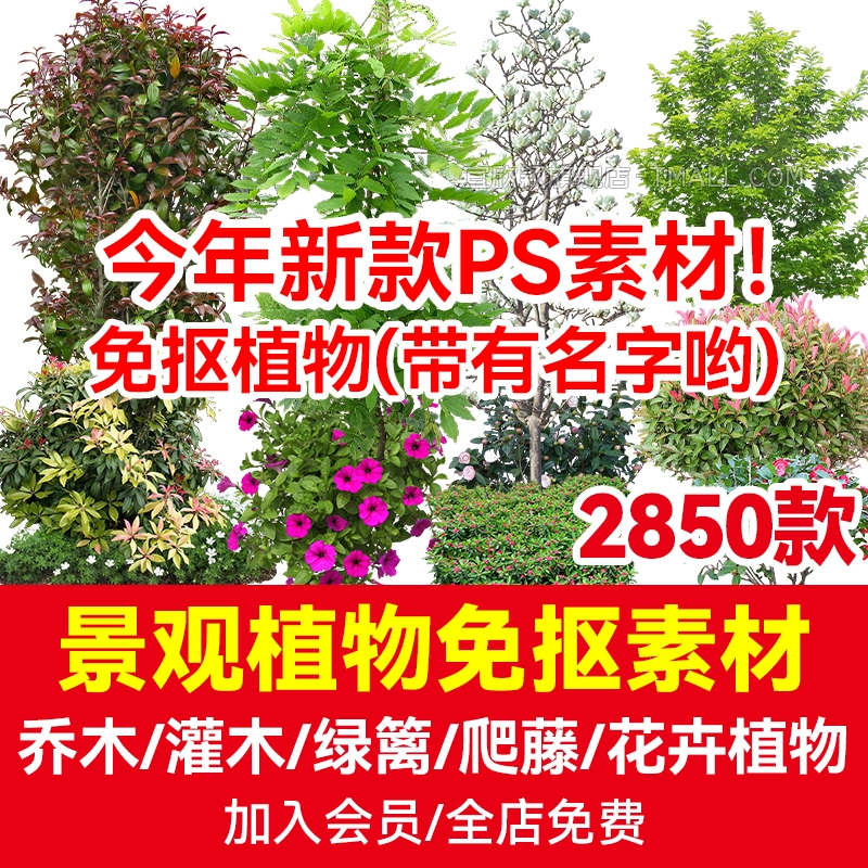 乔木灌木花草树绿植PS景观园林带名称立面植物PNG免抠效果图素材-1