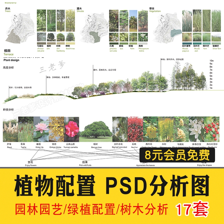 景观园林园艺植物配置PSD分层 绿植树木PS分析图种植搭配素材-1
